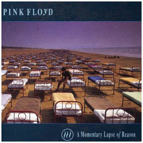 a momentary lapse of reason