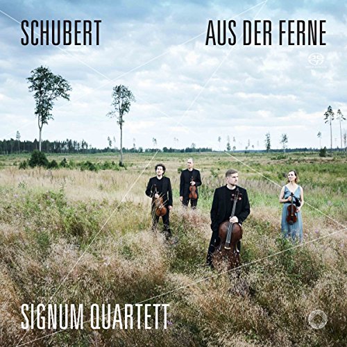aus der ferne