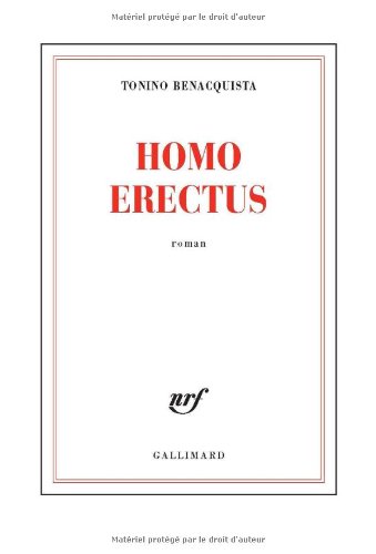 homo erectus