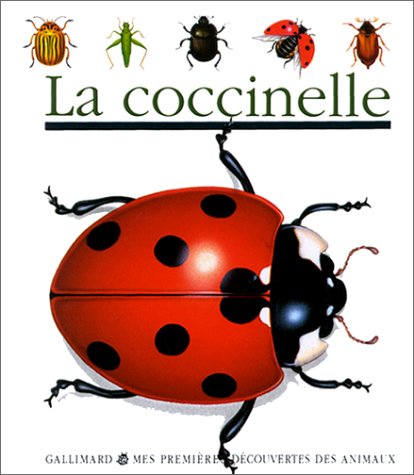 la coccinelle  