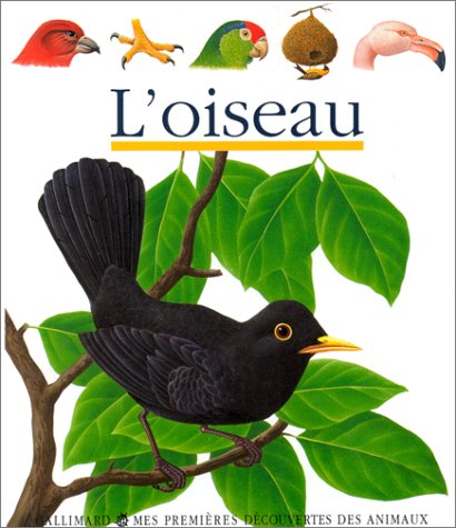 l' oiseau   [15]
