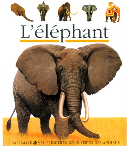 l' éléphant   [24]