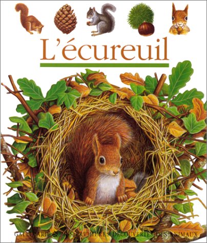 l' écureuil  