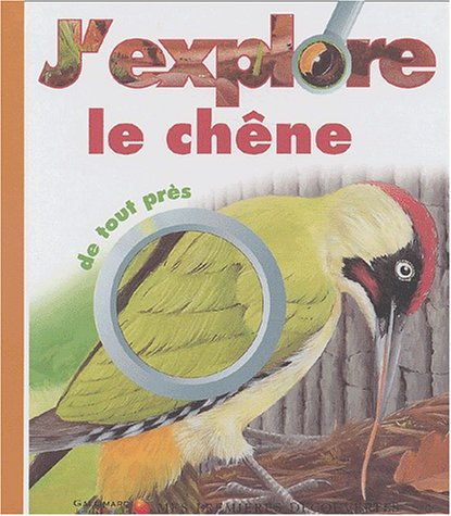 j'explore le chêne