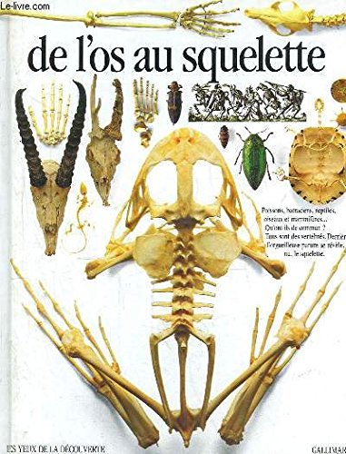 de l'os au squelette