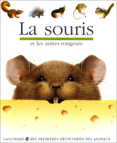 la souris  