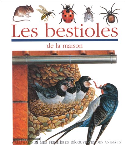 les bestioles de la maison  