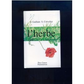 couché dans l'herbe [3]