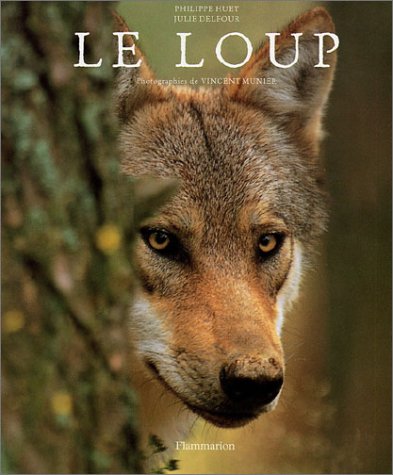 le loup  