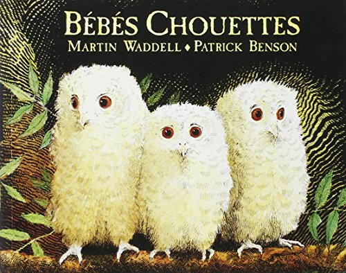 bébés chouettes