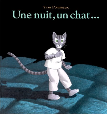 une nuit, un chat  