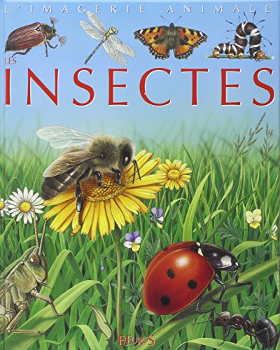 les insectes  