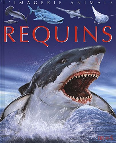 les requins  