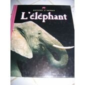 l' eléphant  