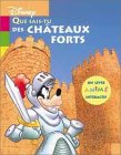 que sais-tu des châteaux forts ?