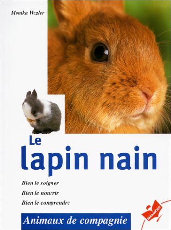 le lapin nain  