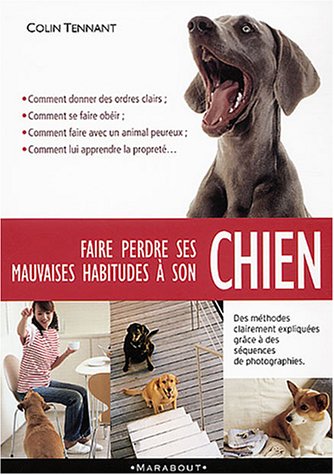 faire perdre ses mauvaises habitudes à son chien