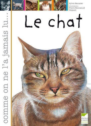 le chat  