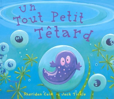 un tout petit têtard  