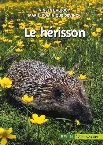 le hérisson   [n° 41]