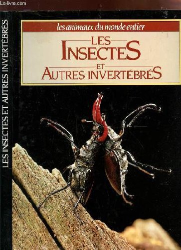 les insectes et autres invertébrés  