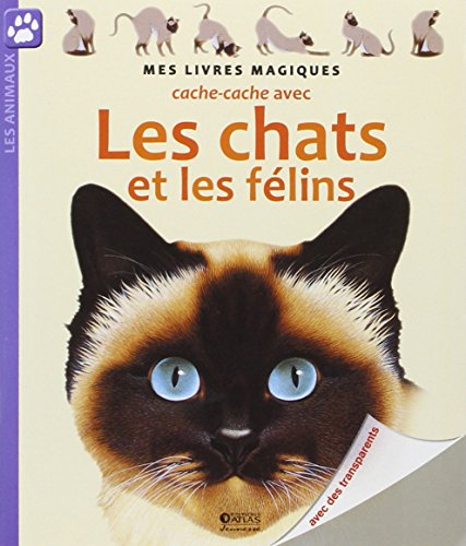 cache-cache avec les chats et les félins [1]