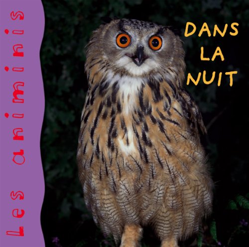 dans la nuit