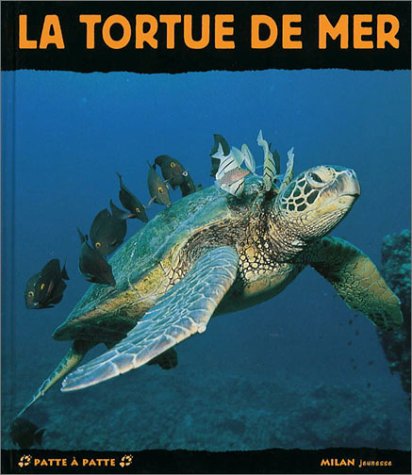la tortue de mer  
