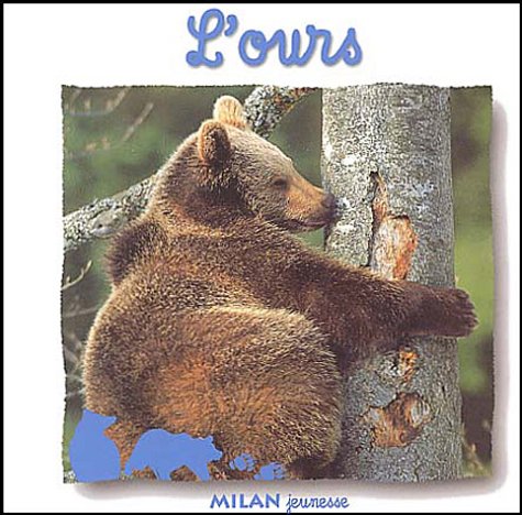 l' ours  