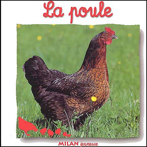 la poule  
