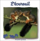 l' écureuil  