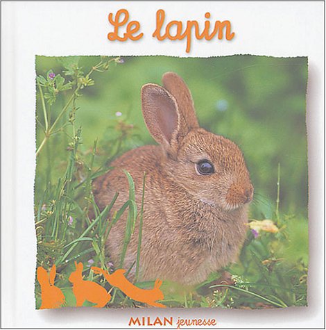 le lapin  