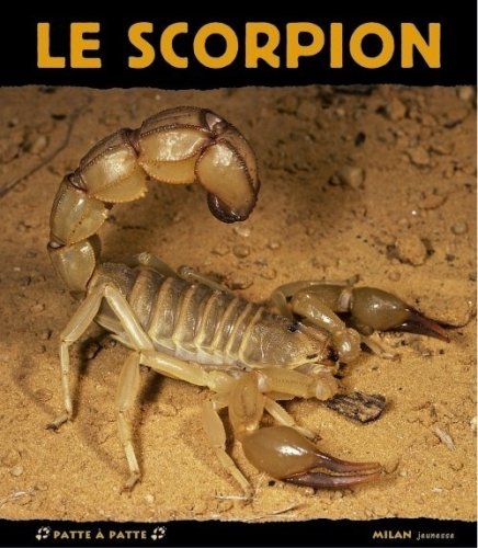 le scorpion  