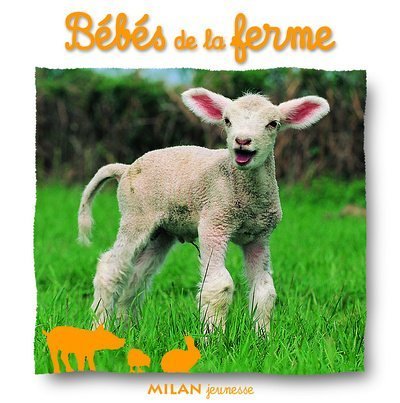 les bébés de la ferme  