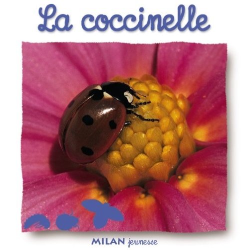 la coccinelle  