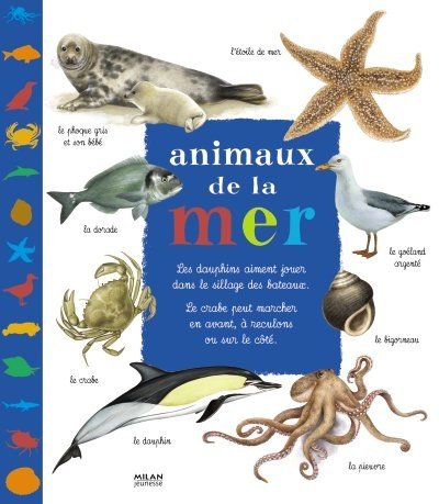 animaux de la mer