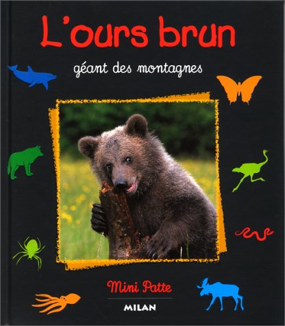l'ours brun géant des montagnes