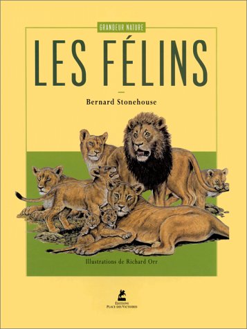 les félins  