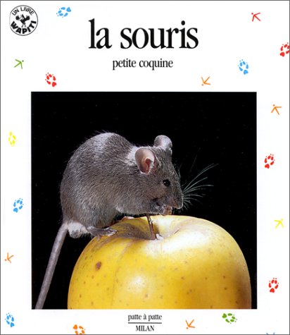 la souris, petite coquine  