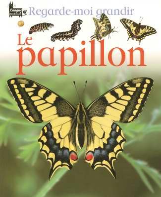 le papillon   [6]
