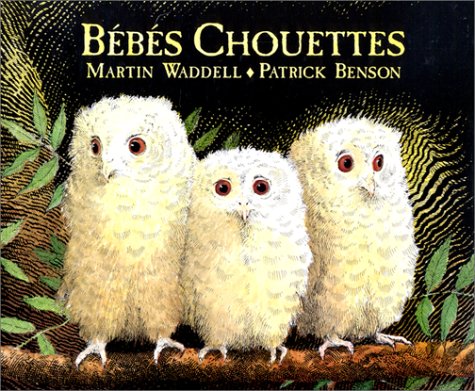 bébés chouettes
