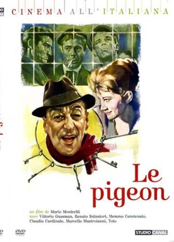le pigeon  