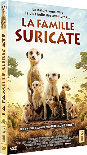 la famille suricate  