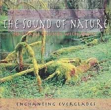 enchanting everglades