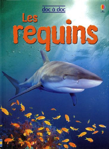 les requins  