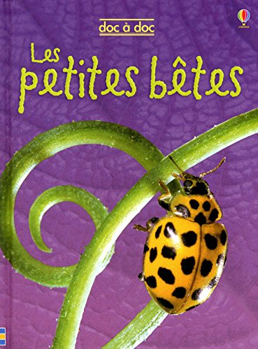 [les ]petites bêtes
