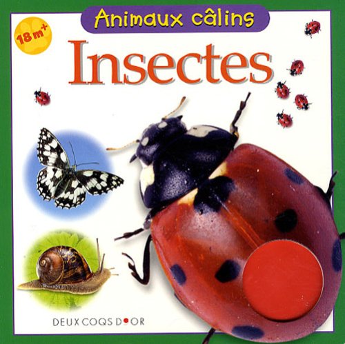 insectes