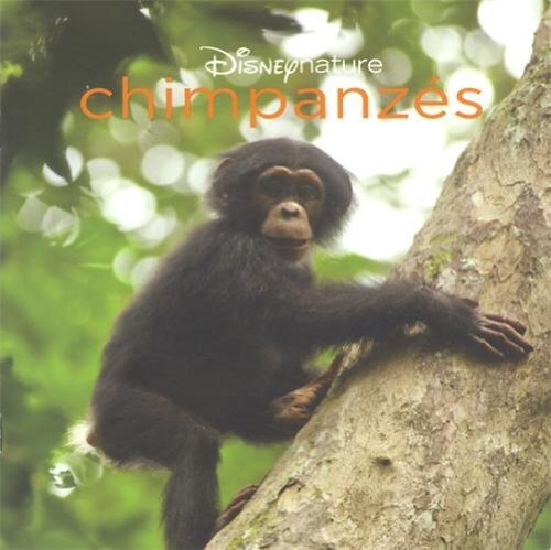 chimpanzés