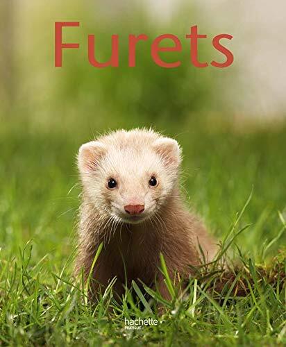 furets [45]