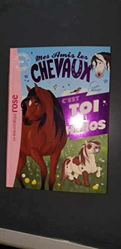 mes amis les chevaux